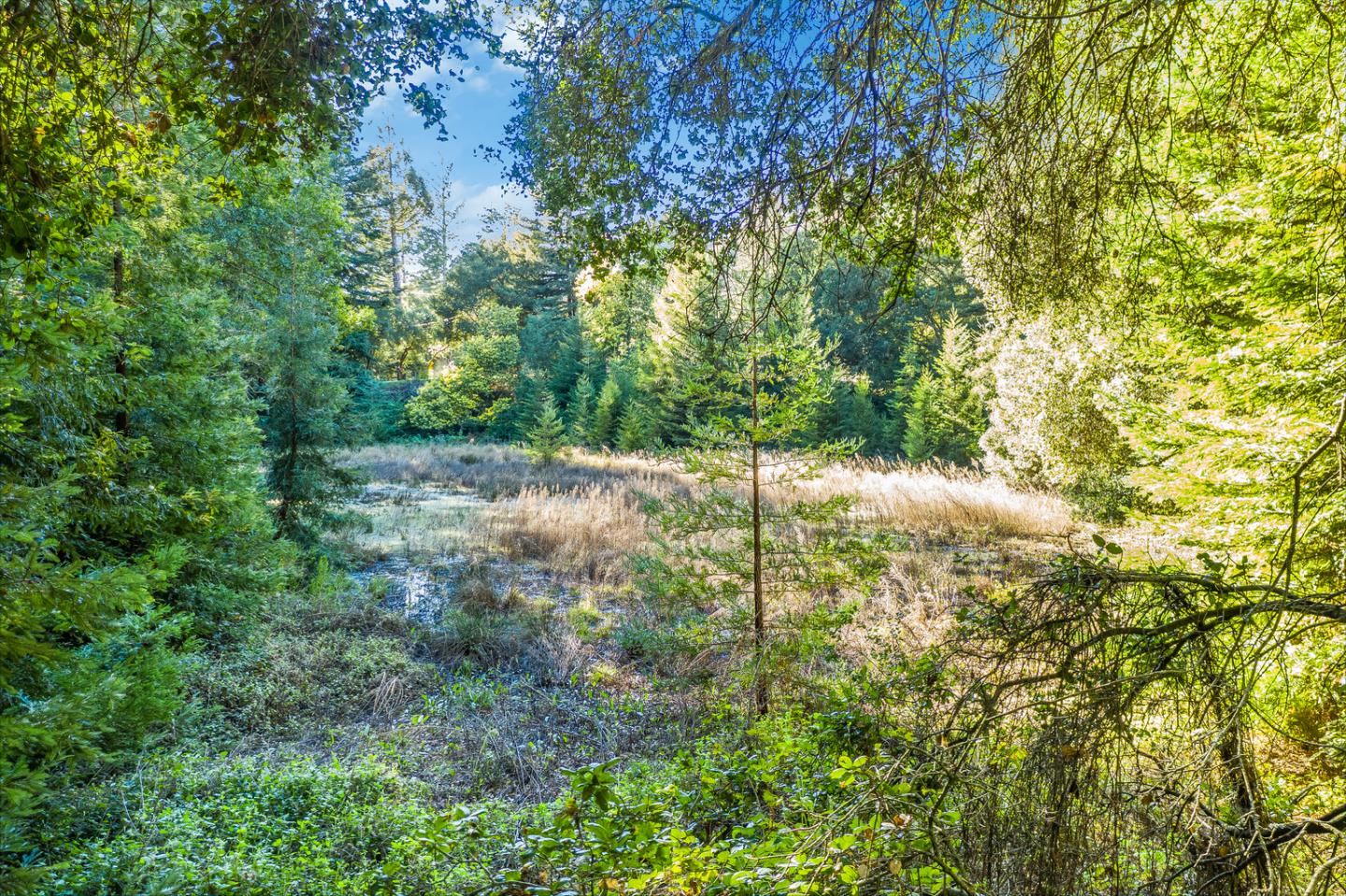 22854 Summit Road Los Gatos, CA 95033 - Photo 8 of 17 Gallery Image 8