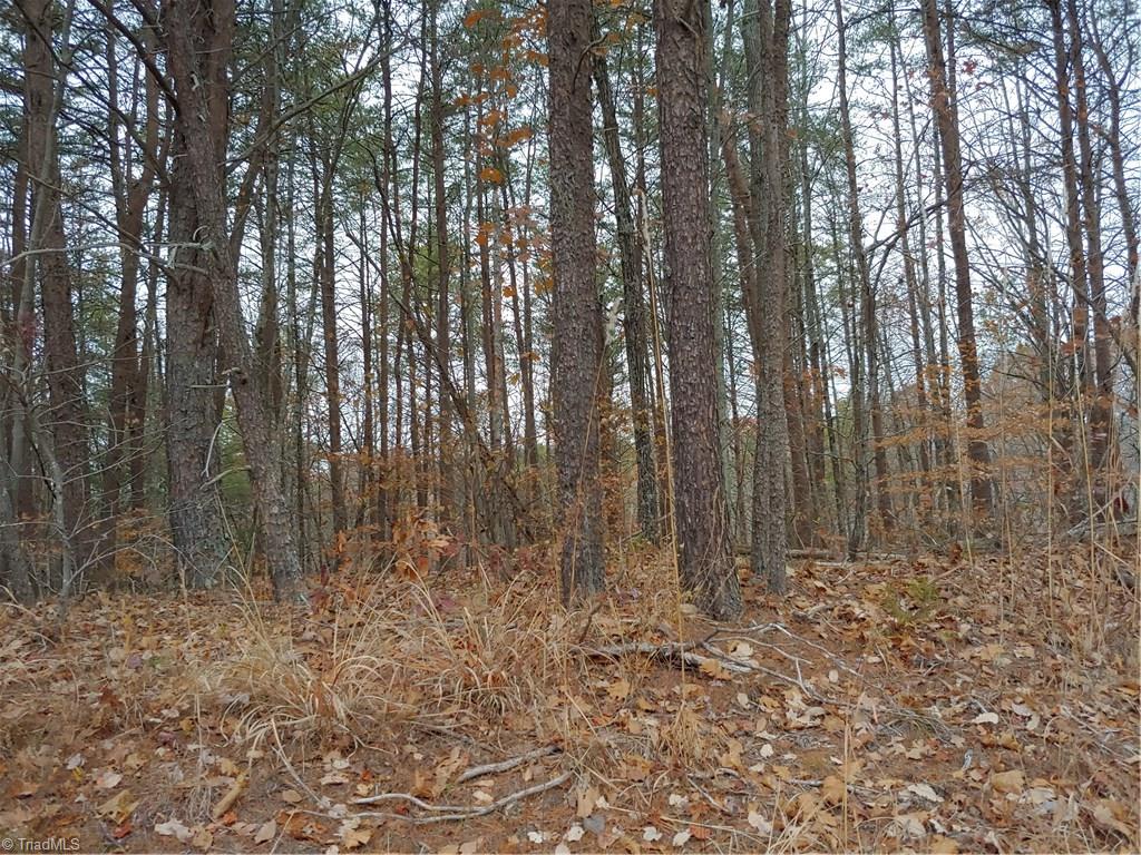 8 South Friendship Road Germanton, NC 27019 - Photo 1 of 4 Gallery Image 1