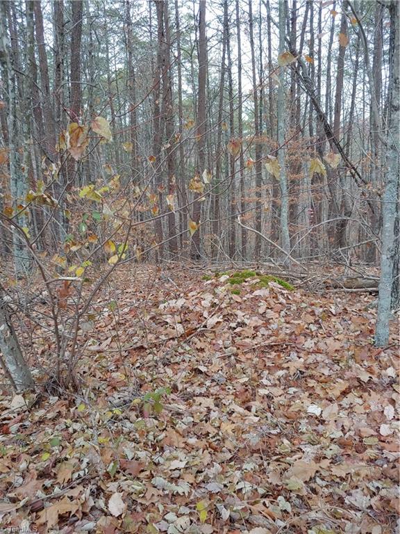 8 South Friendship Road Germanton, NC 27019 - Photo 3 of 4 Gallery Image 3