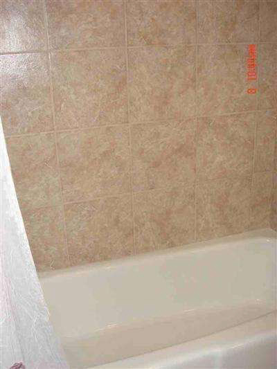 13471 North Belsay Road Millington, MI 48746 - Photo 13 of 14 20242360-12.JPG