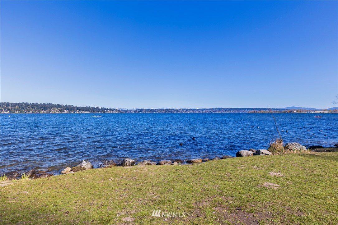9232 Sand Point Way Northeast Seattle, WA 98115 - Photo 40 of 40 Gallery Image 40