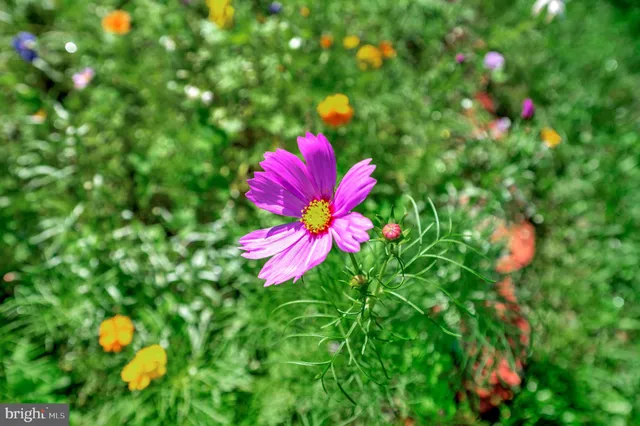 $579,900 | 10415 Shaw Drive, Spotsylvania, VA 22553