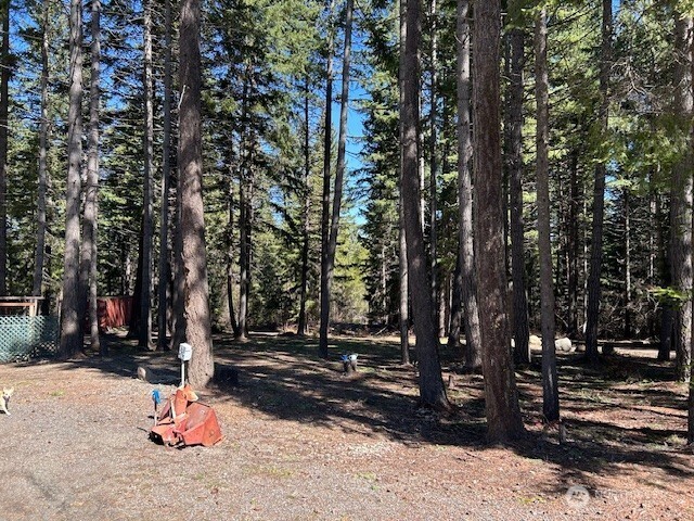 1431 Timber Mountain Loop Cle Elum, WA 98922 - Photo 27 of 29