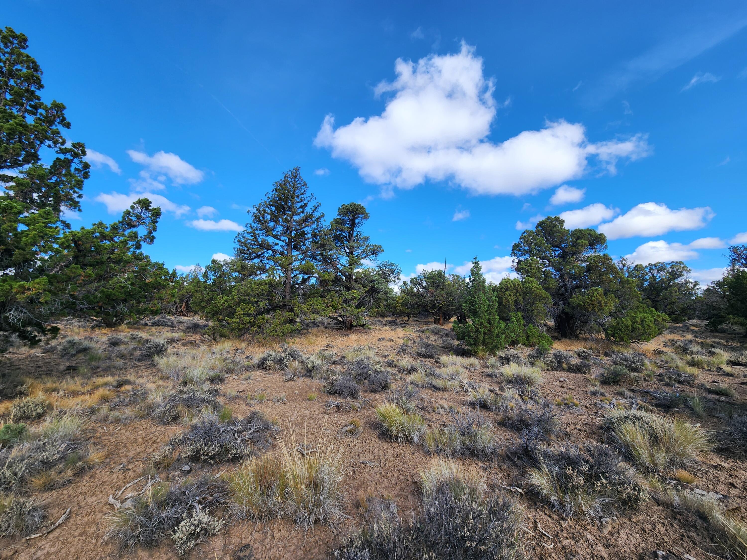 Fox Butte Road Bend, OR 97701 - Photo 22 of 27 20250807_095122