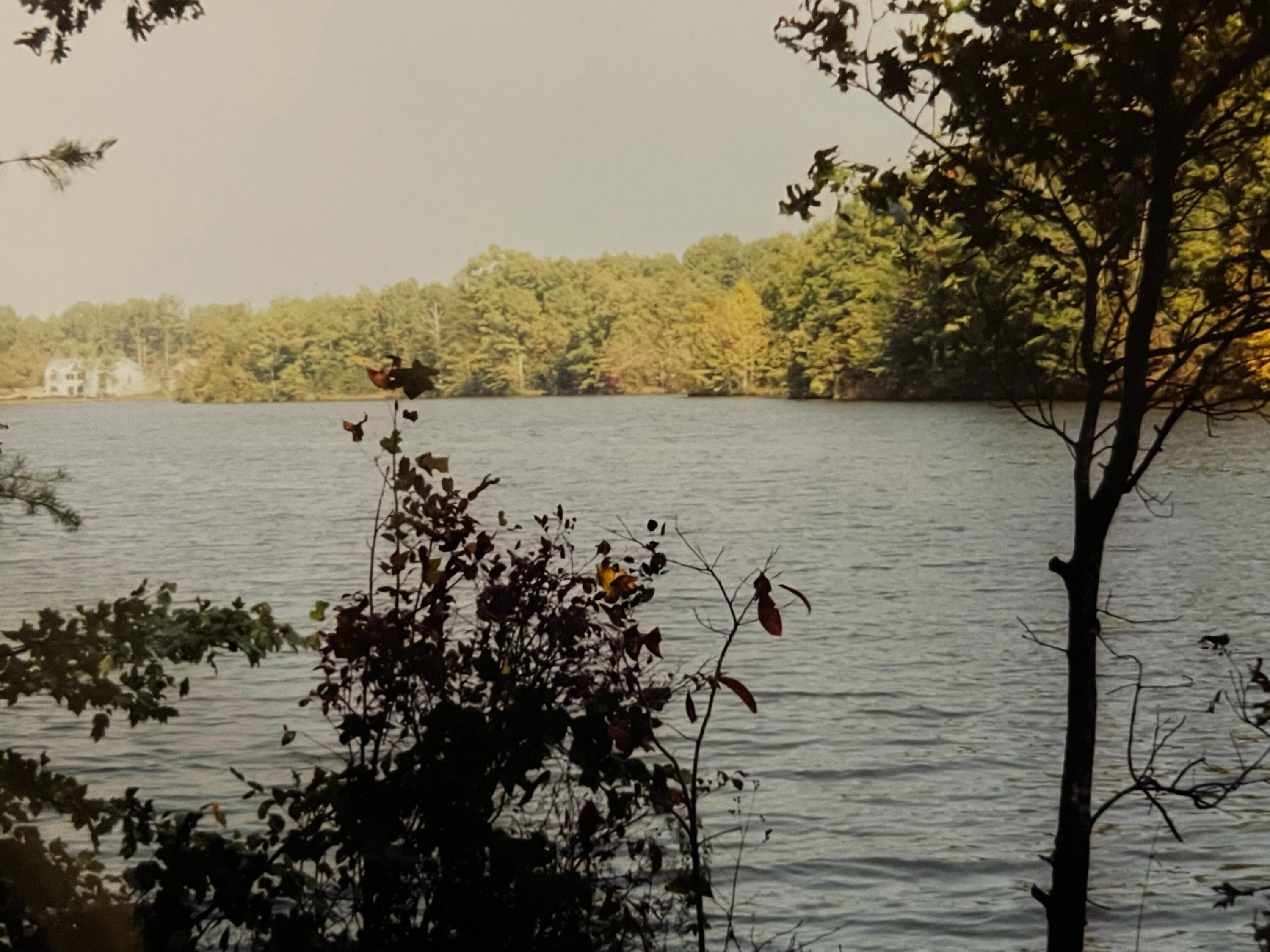 Lot 32 Anne Road Monterey, TN 38574 - Photo 1 of 16 image2