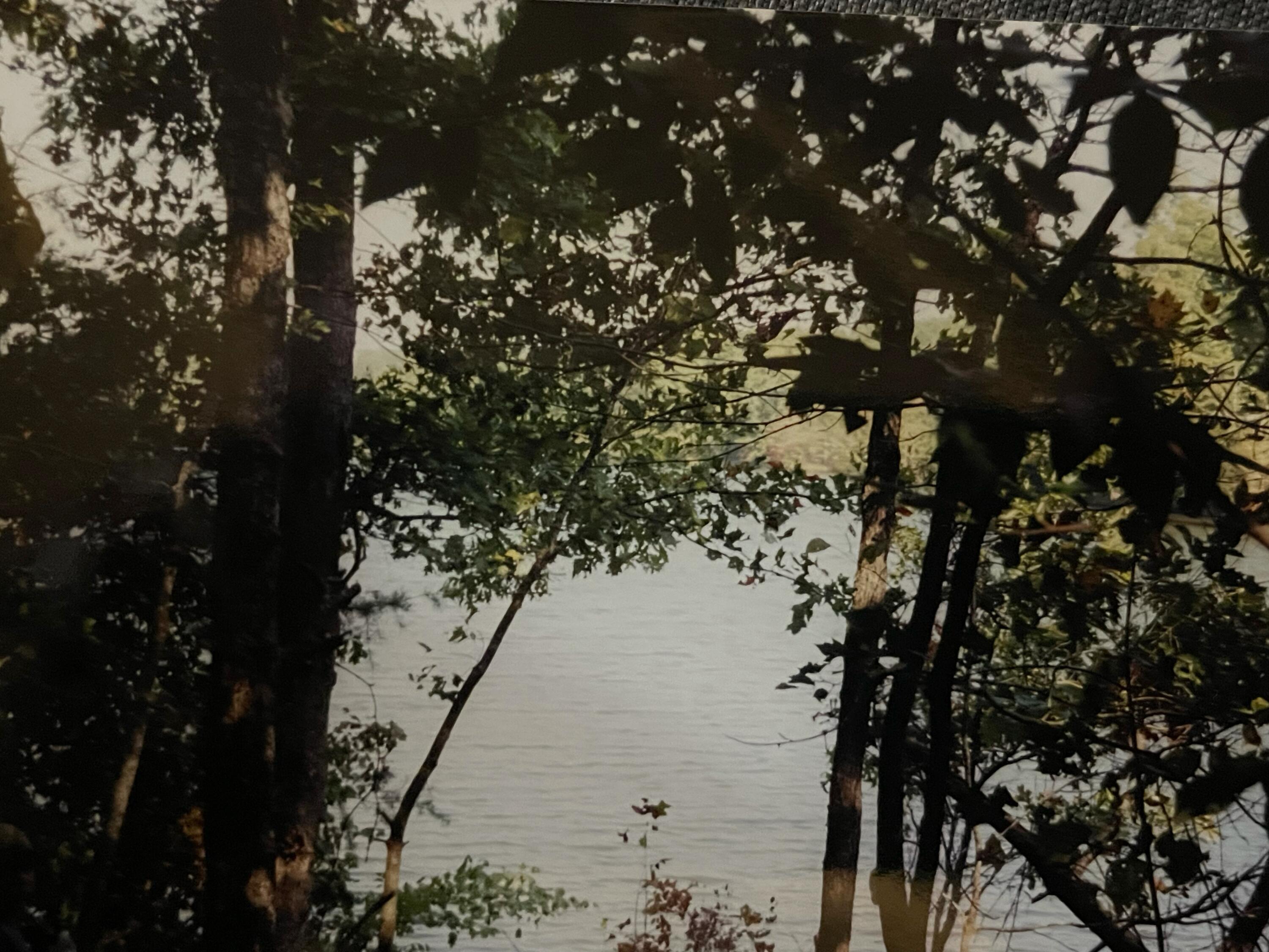 Lot 32 Anne Road Monterey, TN 38574 - Photo 3 of 16 image1