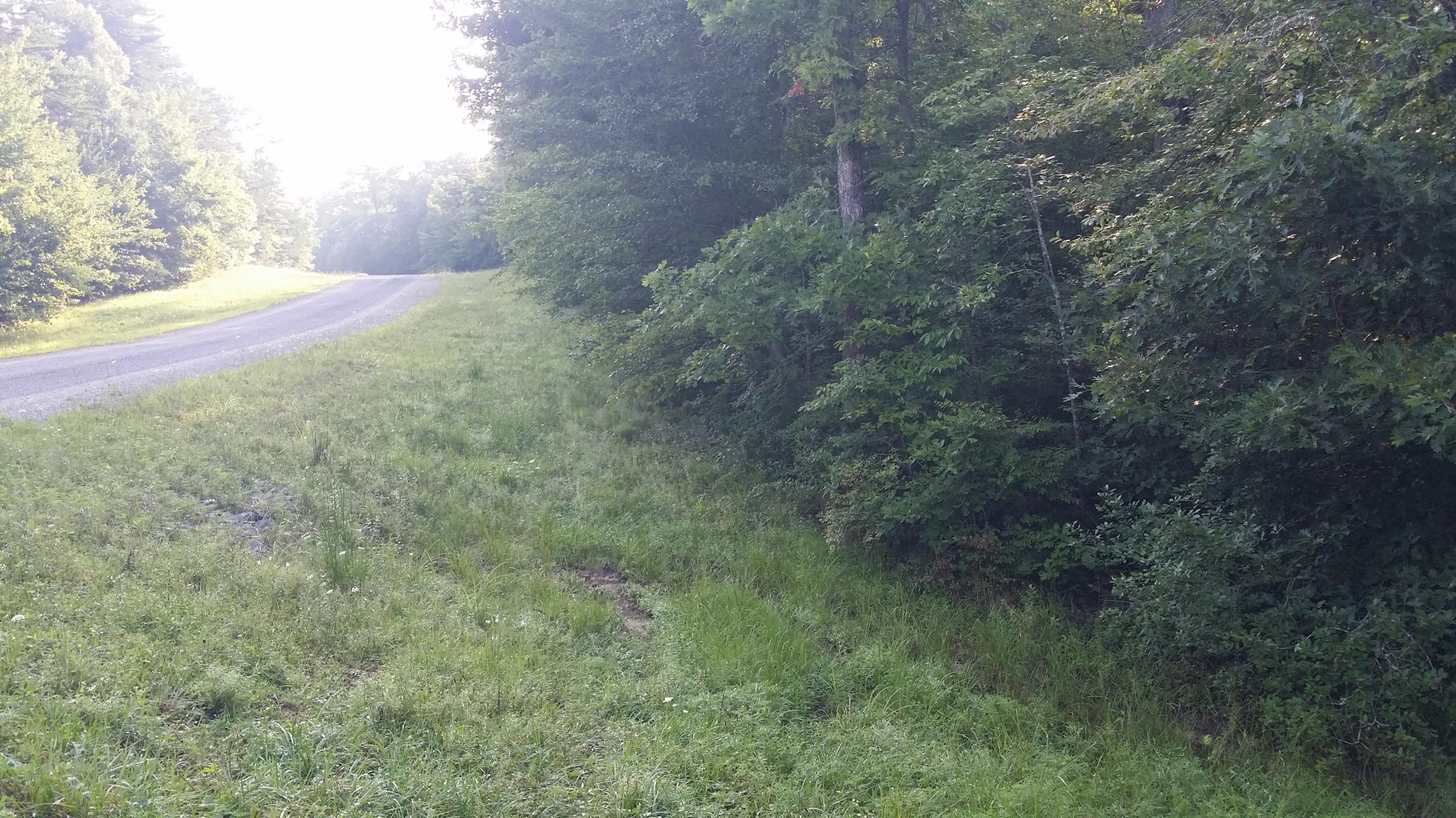 Lot 32 Anne Road Monterey, TN 38574 - Photo 5 of 16 20180714_073153
