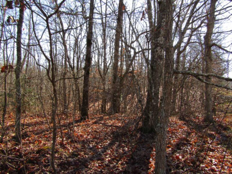 Lot 32 Anne Road Monterey, TN 38574 - Photo 7 of 16 IMG_6155