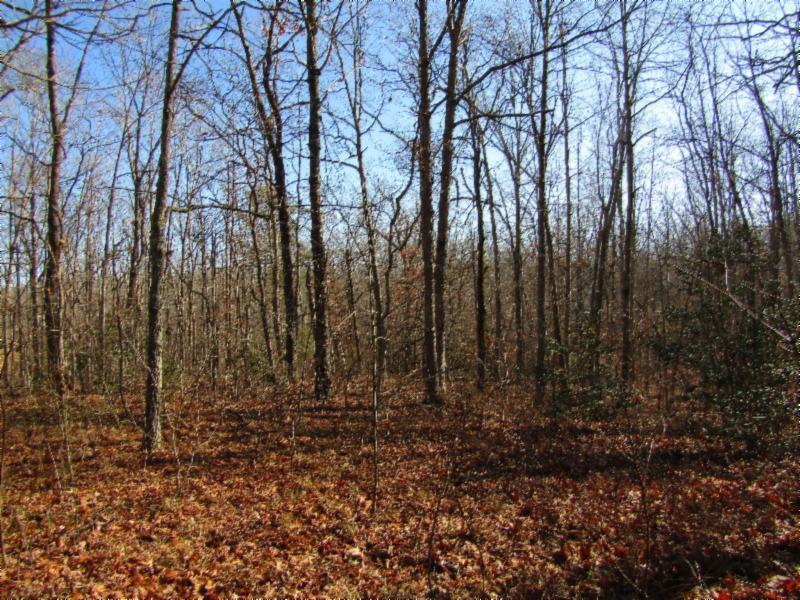 Lot 32 Anne Road Monterey, TN 38574 - Photo 8 of 16 IMG_6156
