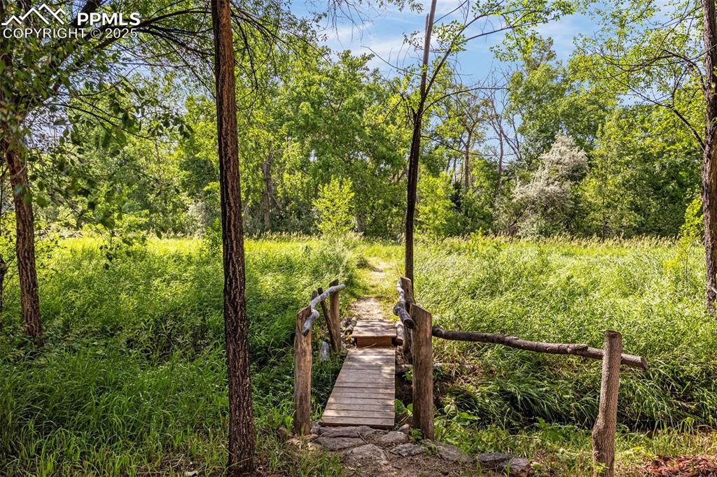 3254 Apogee View Colorado Springs, CO 80906 - Photo 3 of 28 a view of a garden