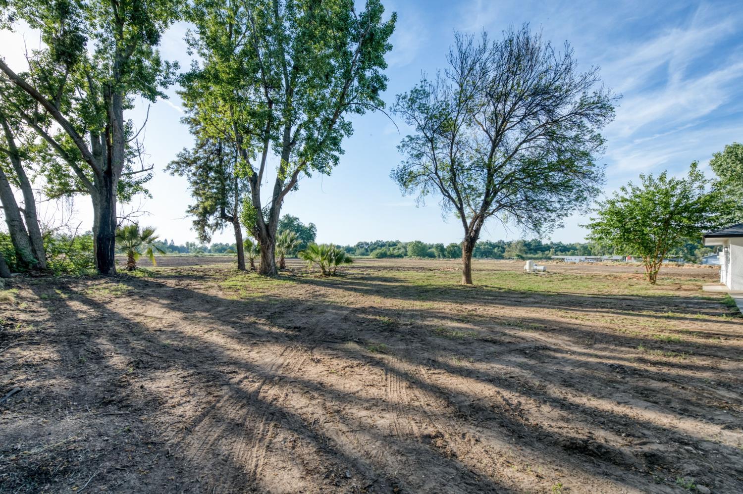545 North Rio Vista Avenue Sanger, CA 93657 - Photo 18 of 46 a view of dirt yard with green space