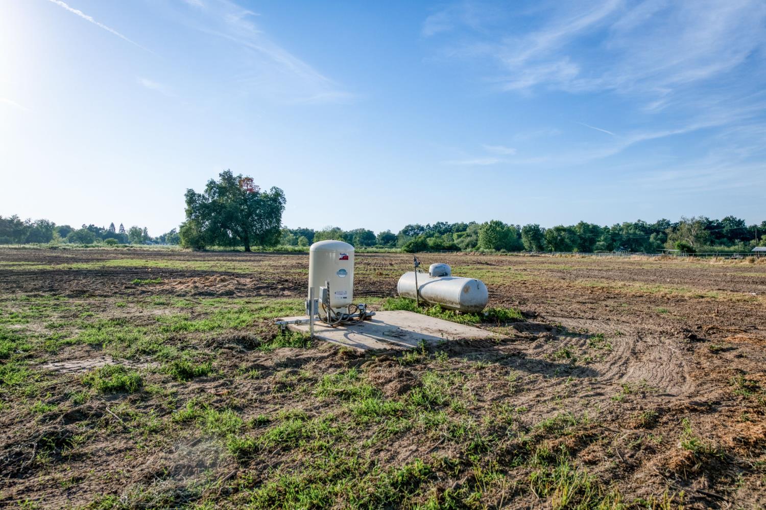 545 North Rio Vista Avenue Sanger, CA 93657 - Photo 21 of 46 a backyard of a house with lots of green space and fog