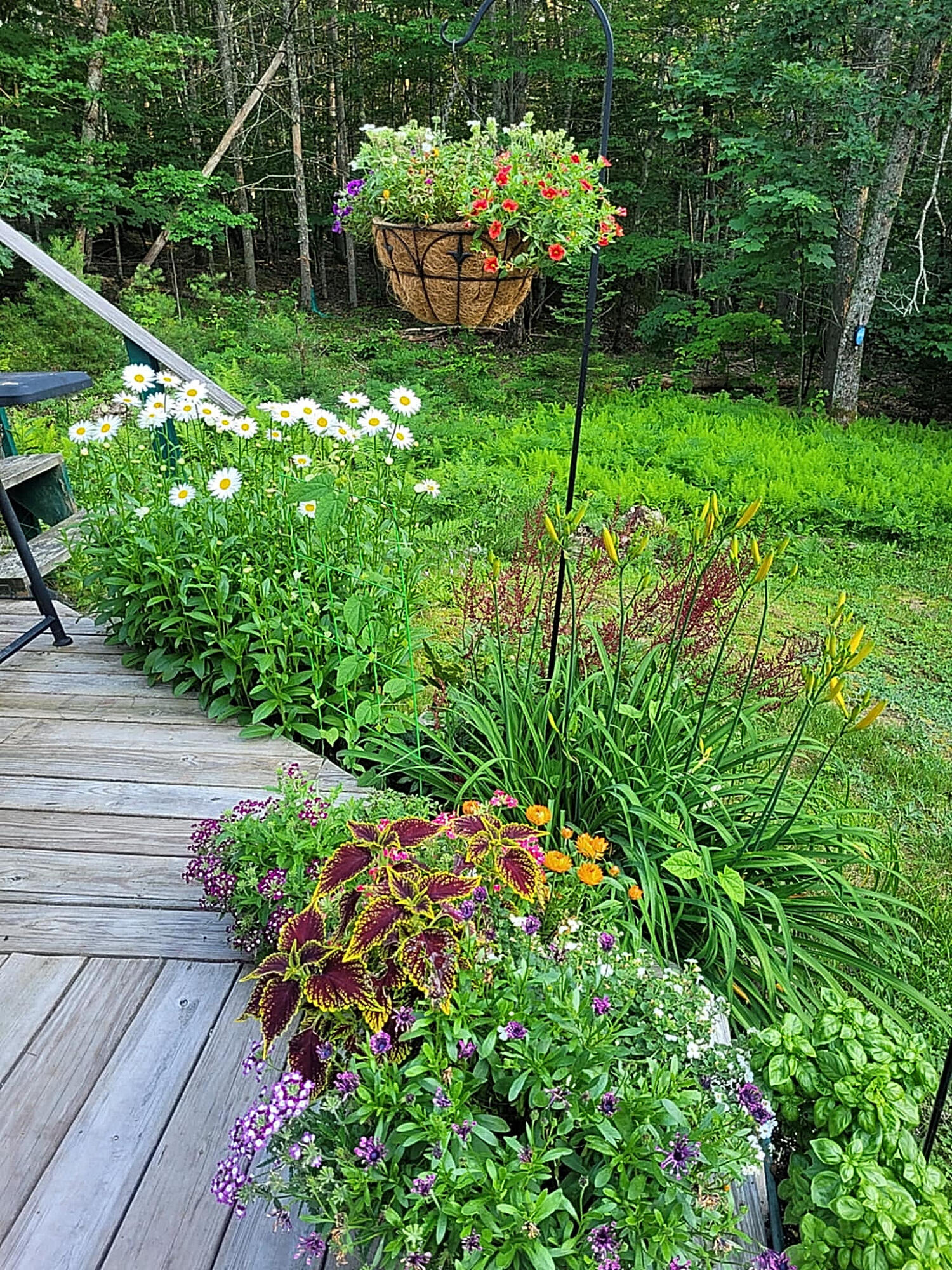 1511 Main Road Westport Island, ME 04578 - Photo 45 of 69 65587d32-bf91-40b0-a537-e6d2e9f9f1b3
