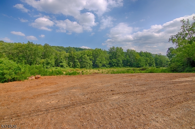 496 Mine Brook Road Bernardsville, NJ 07924 - Photo 19 of 22