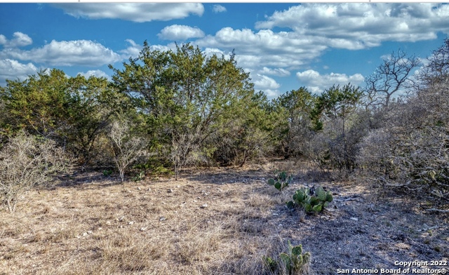 24 Leona Ranch Brackettville, TX 78832 - Photo 14 of 23 a view of a yard