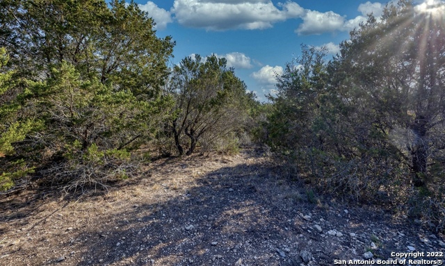 24 Leona Ranch Brackettville, TX 78832 - Photo 15 of 23 a view of a yard with a tree