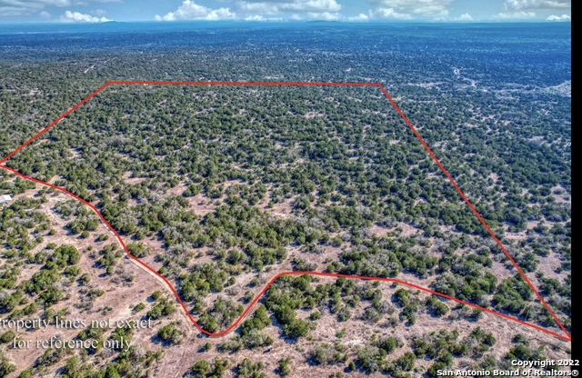 24 Leona Ranch Brackettville, TX 78832 - Photo 2 of 23 a view of a flower in a yard