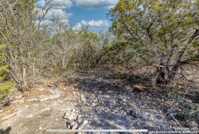 24 Leona Ranch Brackettville, TX 78832 - Photo 21 of 23 a view of a yard with a tree