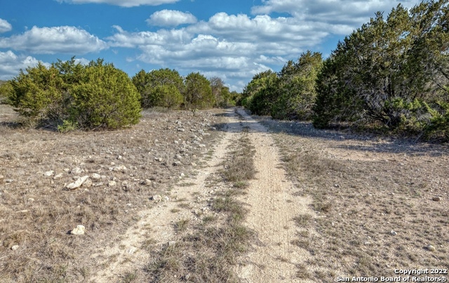 24 Leona Ranch Brackettville, TX 78832 - Photo 23 of 23 a view of a yard with a tree