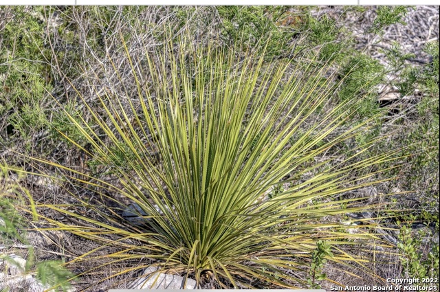 24 Leona Ranch Brackettville, TX 78832 - Photo 3 of 23 a view of a backyard