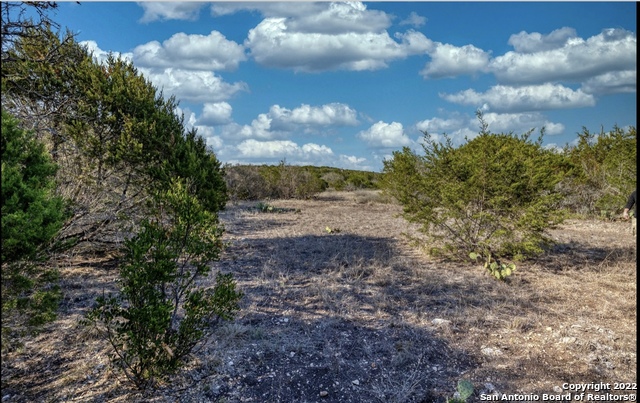 24 Leona Ranch Brackettville, TX 78832 - Photo 4 of 23 a view of a yard