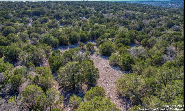 24 Leona Ranch Brackettville, TX 78832 - Photo 5 of 23 an aerial view of residential house with outdoor space and trees all around