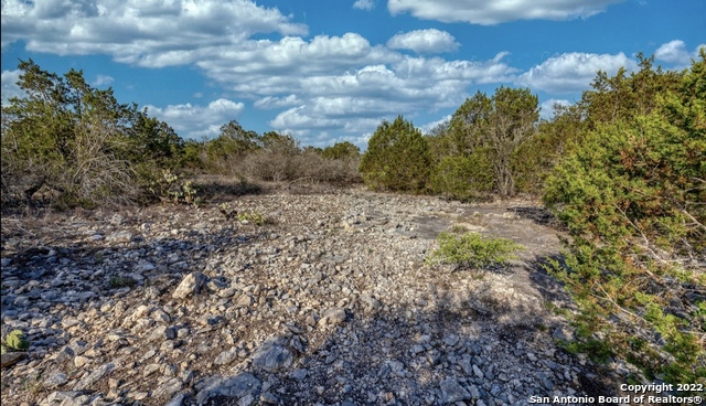 24 Leona Ranch Brackettville, TX 78832 - Photo 9 of 23 a view of a dry yard with lots of bushes