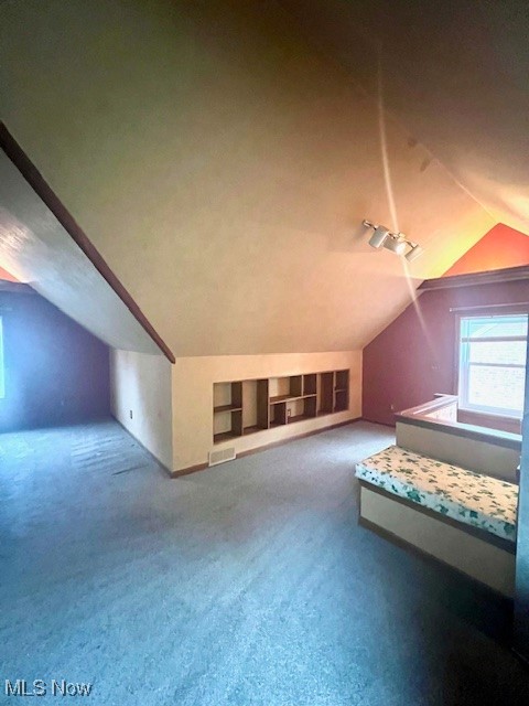 1260 Argonne Road Cleveland, OH 44121 - Photo 40 of 50 Bonus room featuring vaulted ceiling and carpet floors