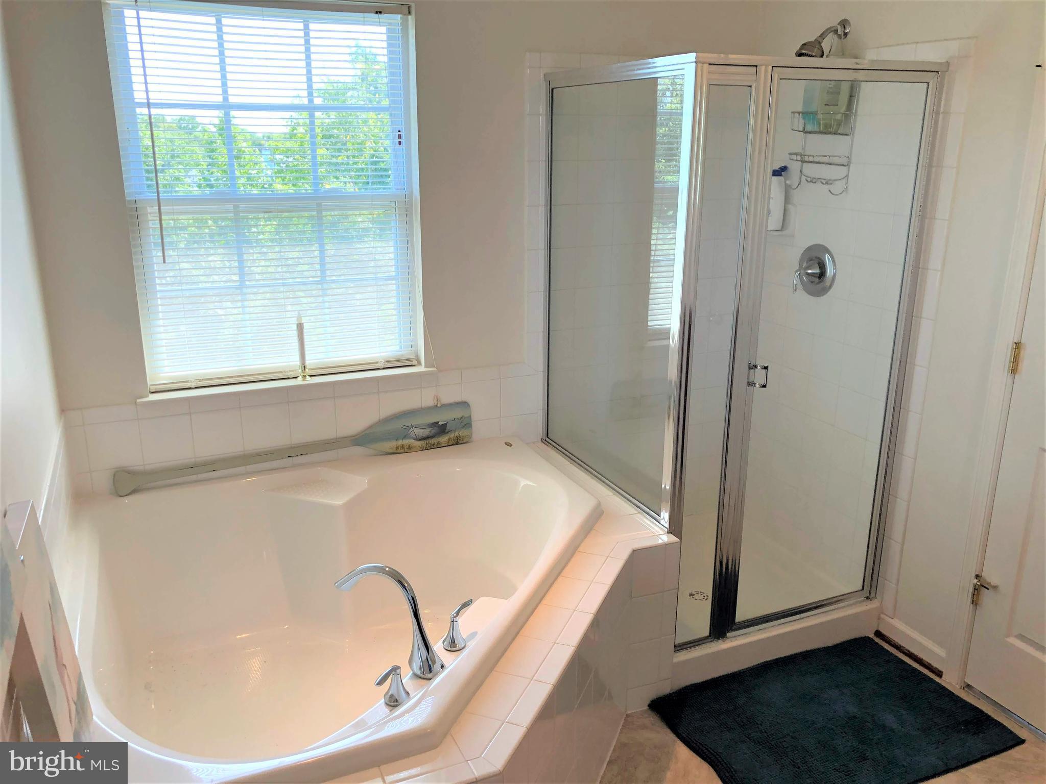 9627 Davison Road Baltimore, MD 21220 - Photo 15 of 30 Bath (Master)