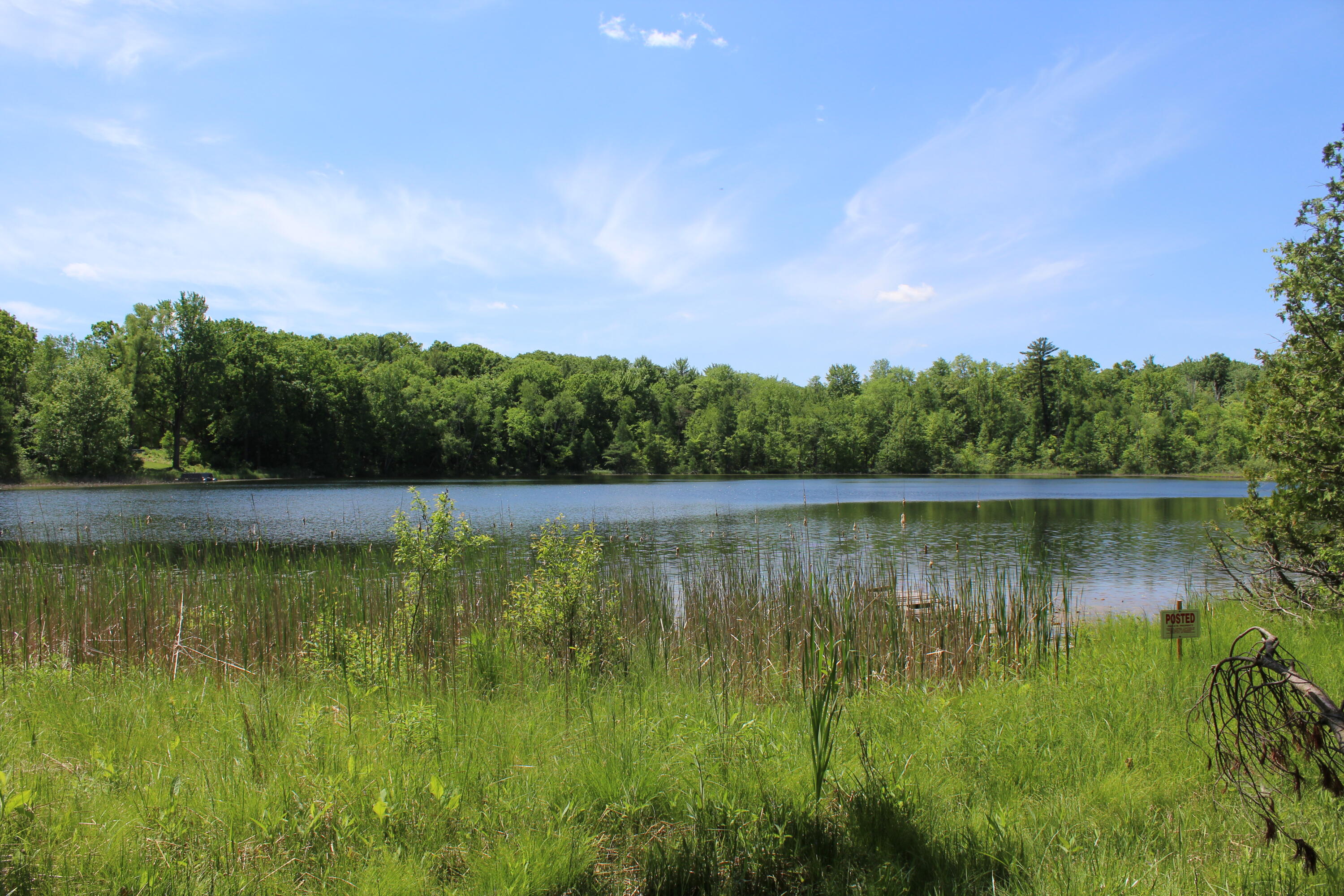 Evergreen Road Gowen, MI 49326 - Photo 1 of 9 IMG_5877