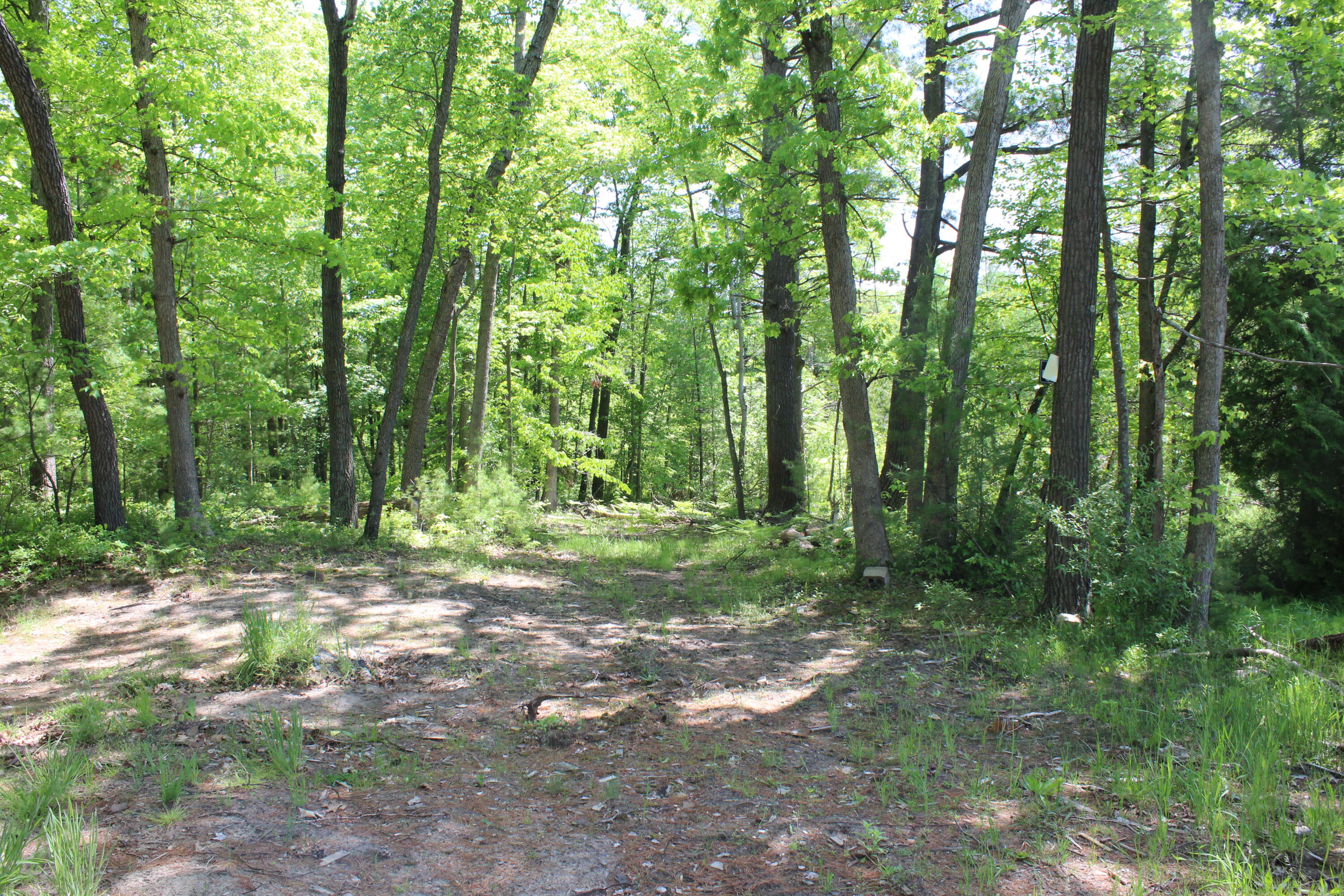 Evergreen Road Gowen, MI 49326 - Photo 4 of 9 IMG_5876