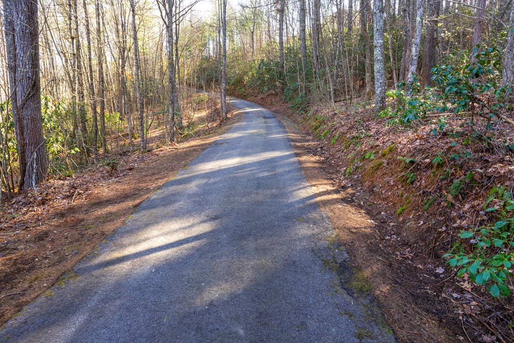 416 Tobe Stalcup Road Murphy, NC 28906 - Photo 59 of 61 Gallery Image 59