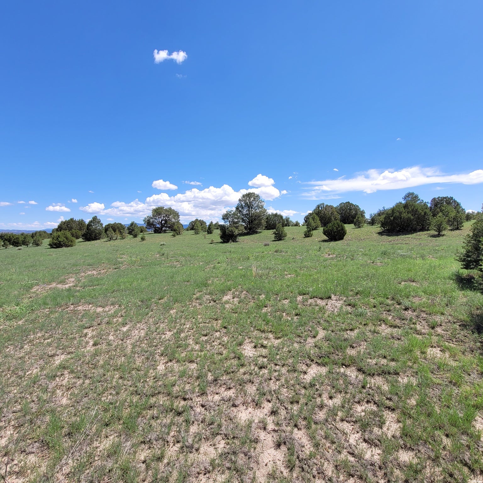 1 Frontier Trail, Unit 17 18 Datil, NM 87821 - Photo 25 of 30 Gallery Image 25