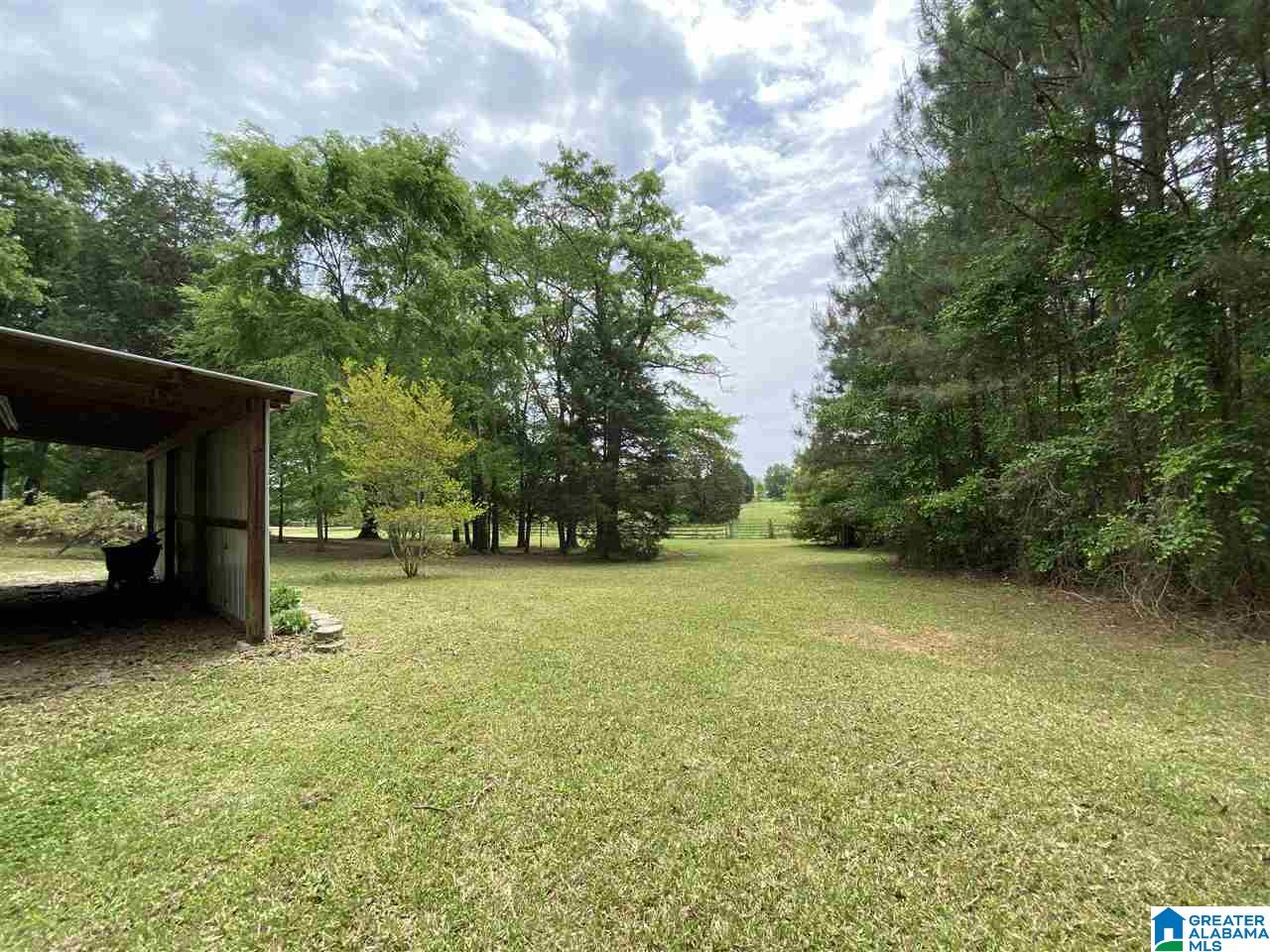 424 Lewis Road Columbiana, AL 35051 - Photo 44 of 50