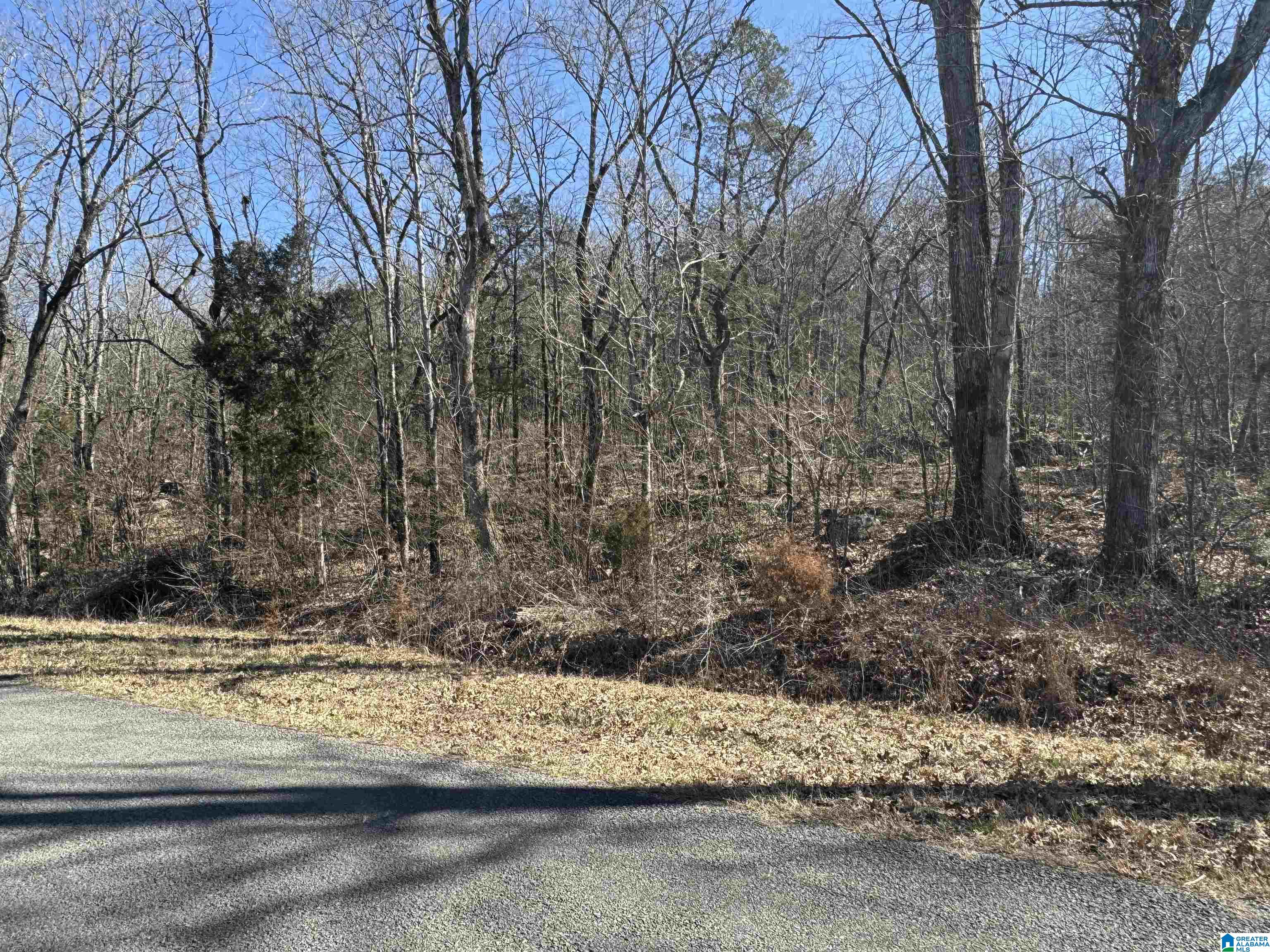 0 Rocky Hollow Road, Unit 3 00 Guntersville, AL 35976 - Photo 8 of 23