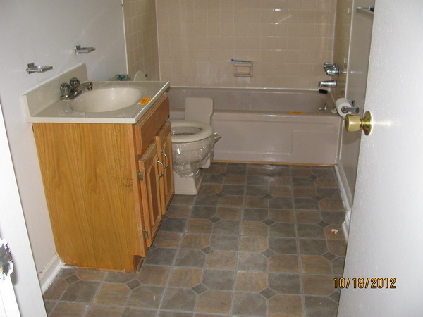 529 Holiday Road Vinton, VA 24179 - Photo 6 of 8 a bathroom with a sink a toilet and shower
