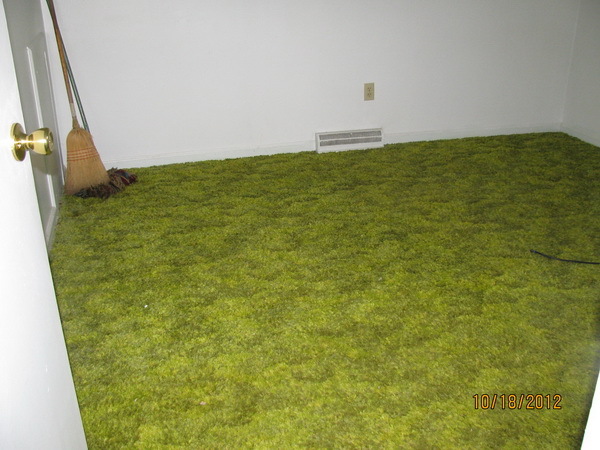 529 Holiday Road Vinton, VA 24179 - Photo 7 of 8 a view of beach and small space