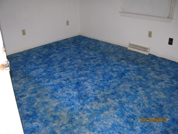 529 Holiday Road Vinton, VA 24179 - Photo 8 of 8 a view of empty room