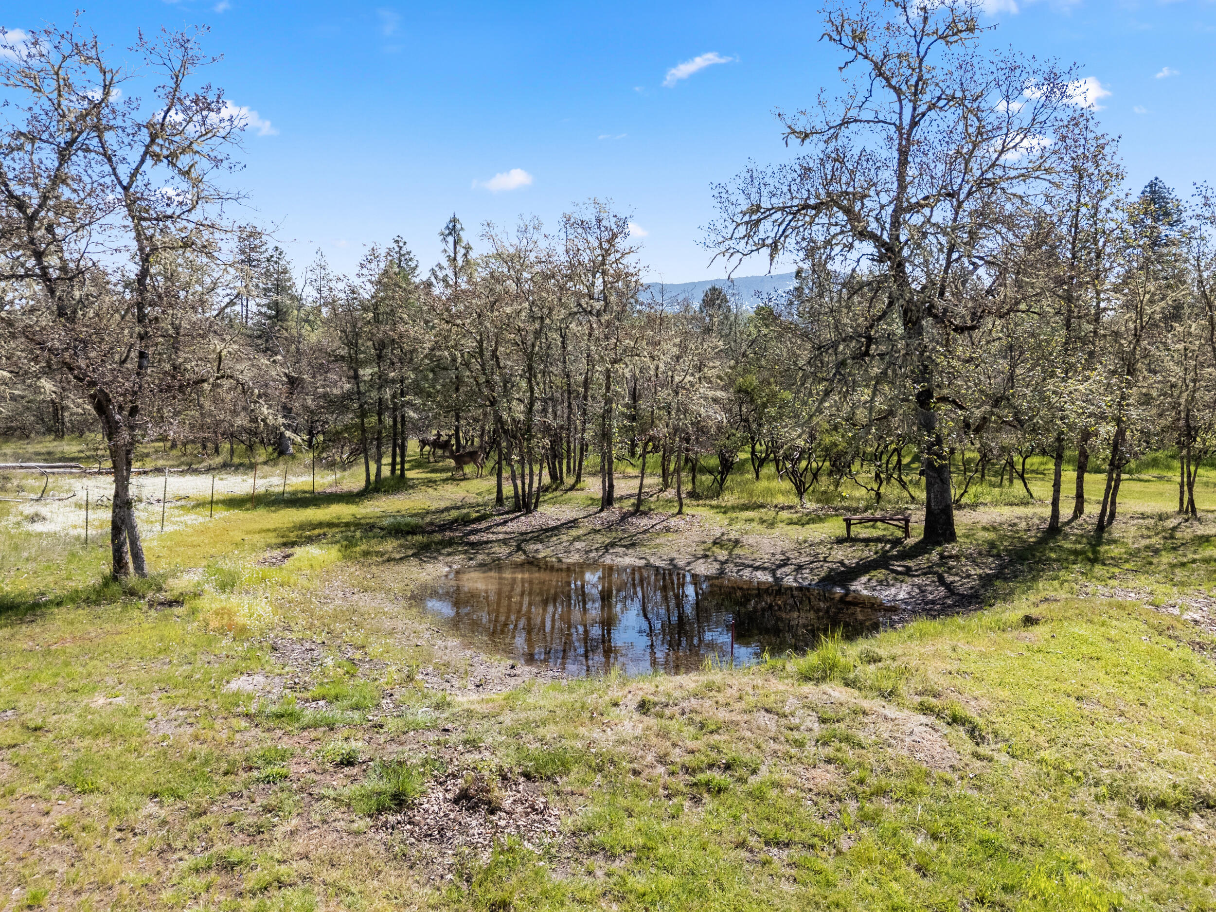 2802 Russell Road Merlin, OR 97532 - Photo 6 of 71 17_2802 russell rd, merlin- drone-08