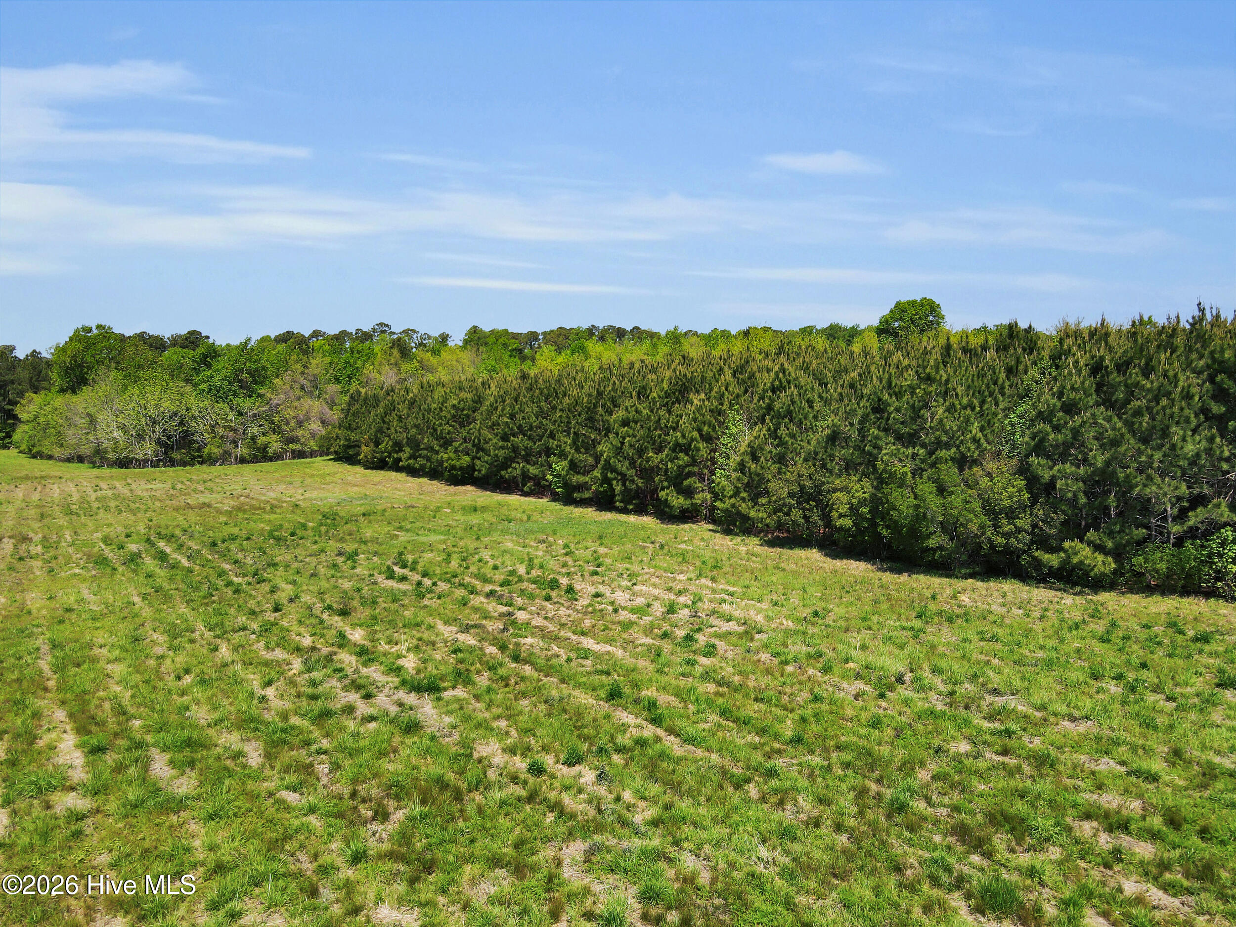 N/a Burton Farm Road Arapahoe, NC 28510 - Photo 26 of 43 N/A Burton Farm Road