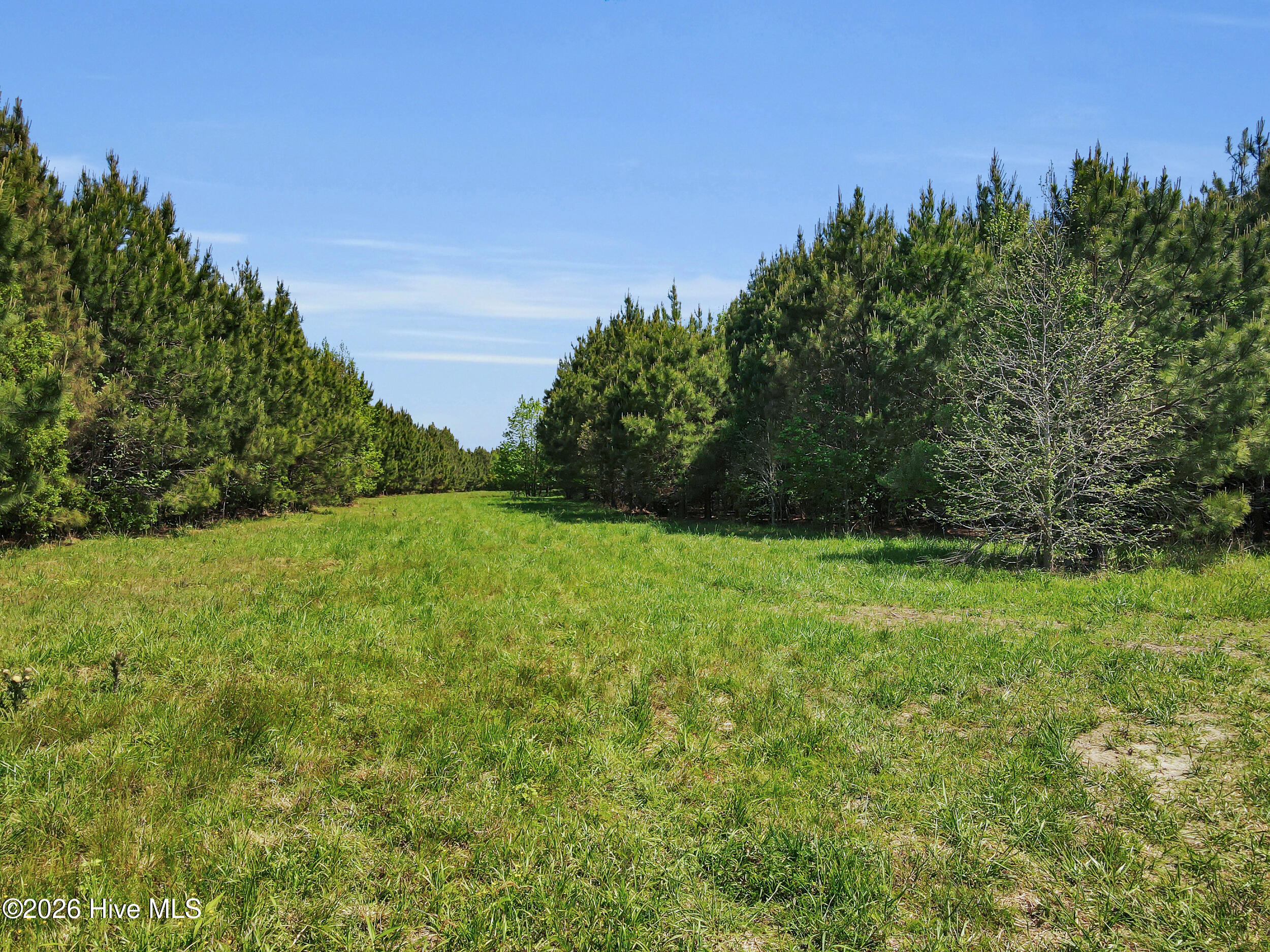 N/a Burton Farm Road Arapahoe, NC 28510 - Photo 27 of 43 N/A Burton Farm Road