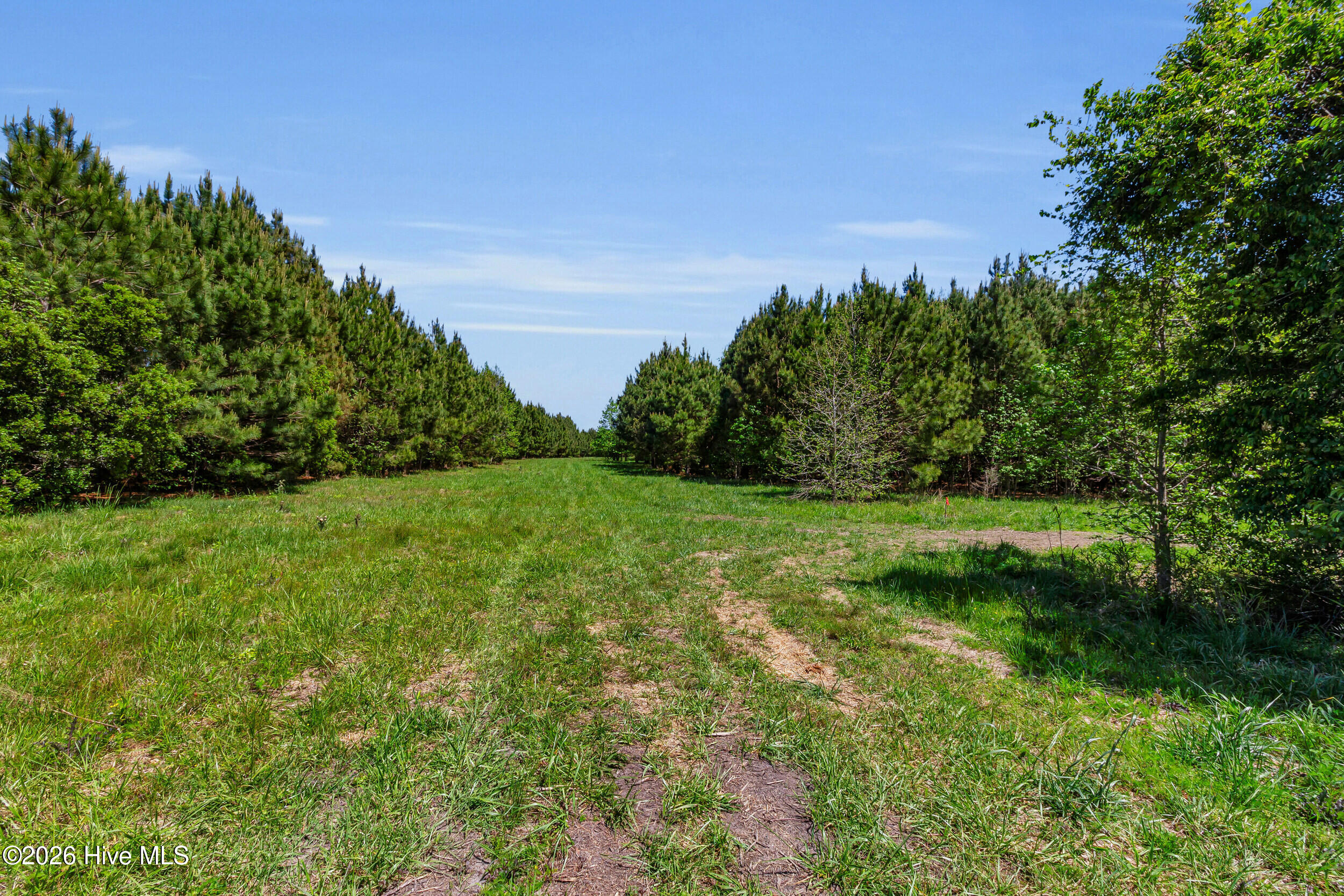 N/a Burton Farm Road Arapahoe, NC 28510 - Photo 29 of 43 N/A Burton Farm Road