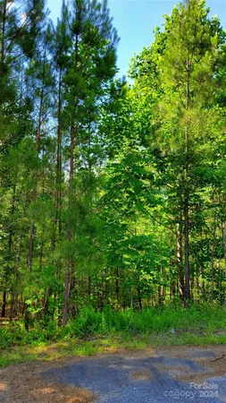 $29,900 | 0 Ashley Court, Unit 7, Mill Spring, NC 28756