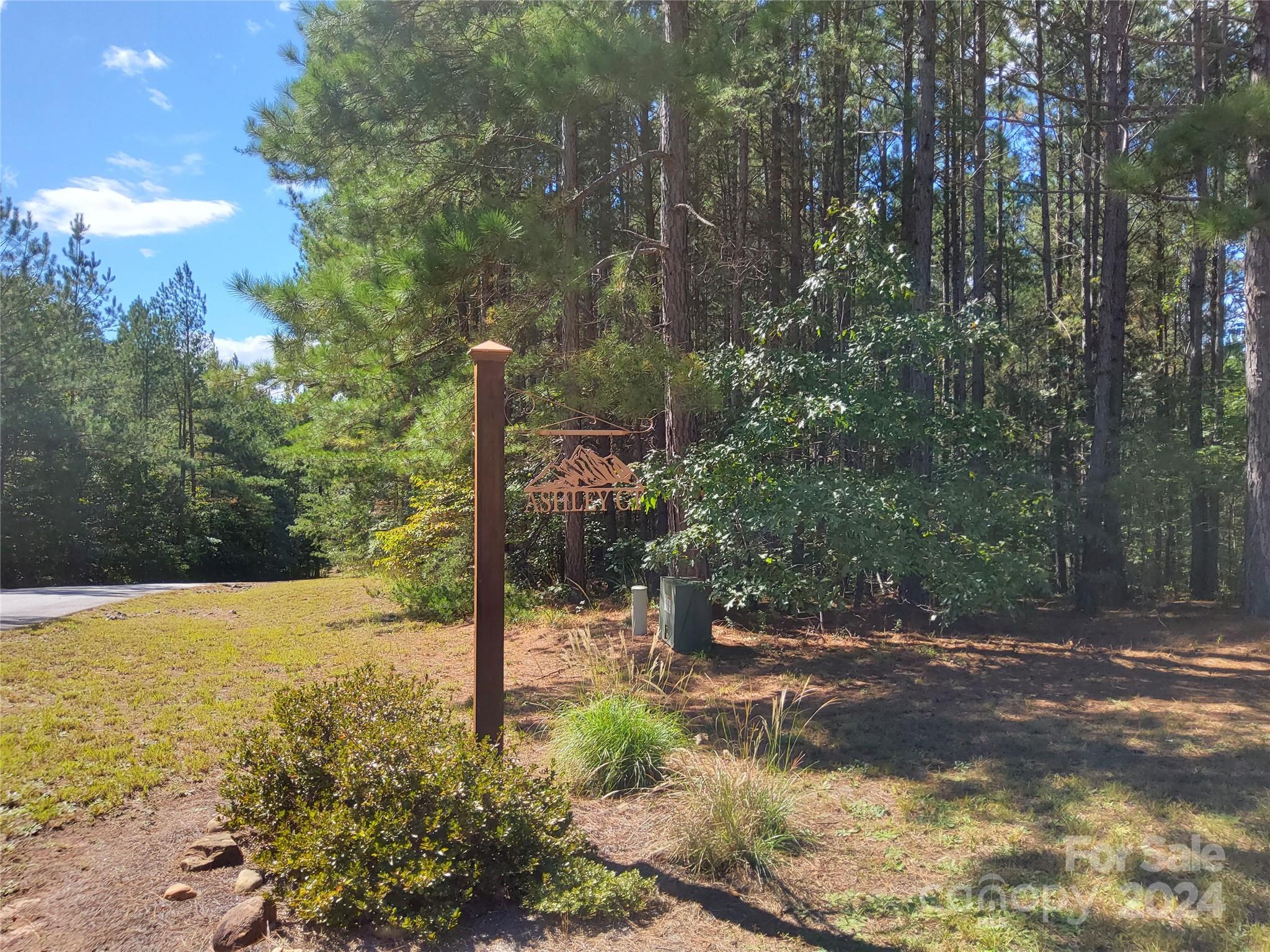 0 Ashley Court, Unit 7 Mill Spring, NC 28756 - Photo 6 of 20 a view of a street with a tree