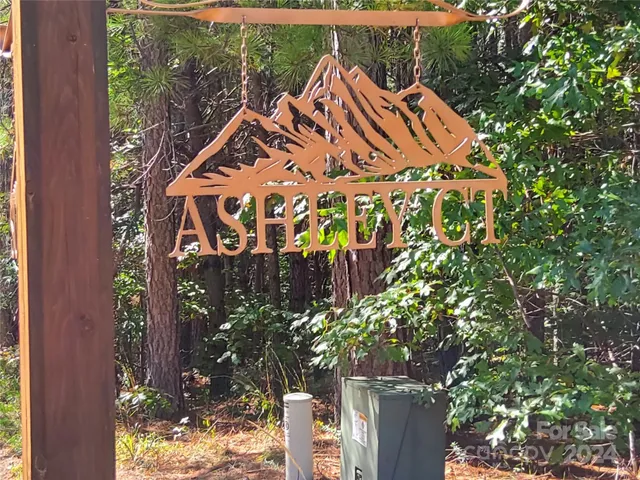 a view of a lush green forest