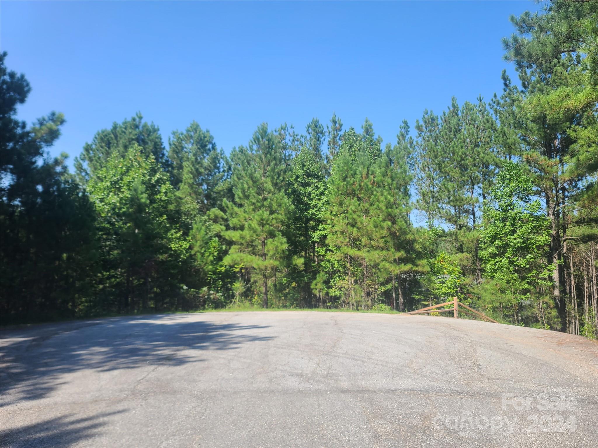 0 Ashley Court, Unit 7 Mill Spring, NC 28756 - Photo 8 of 20 a view of a yard with a tree