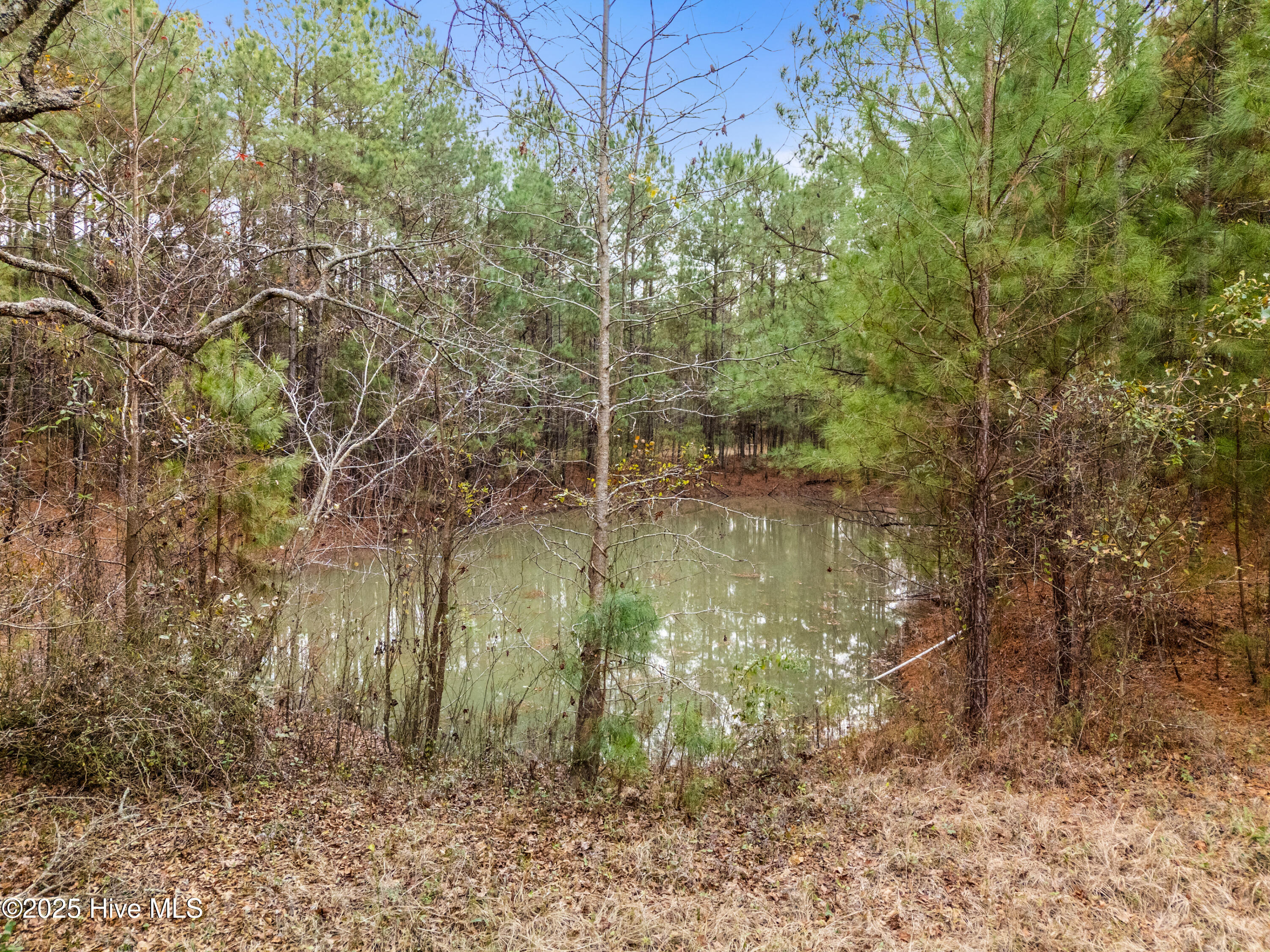 4601 Northwest Road Northeast Leland, NC 28451 - Photo 3 of 26 4601NorthwestRdLot-86