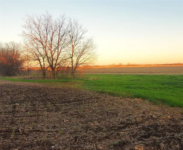 a view of a field with trees