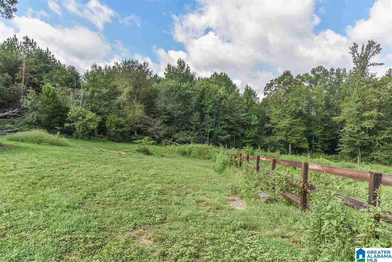 253 Fox Valley Farms Road Alabaster, AL 35114 - Photo 43 of 50