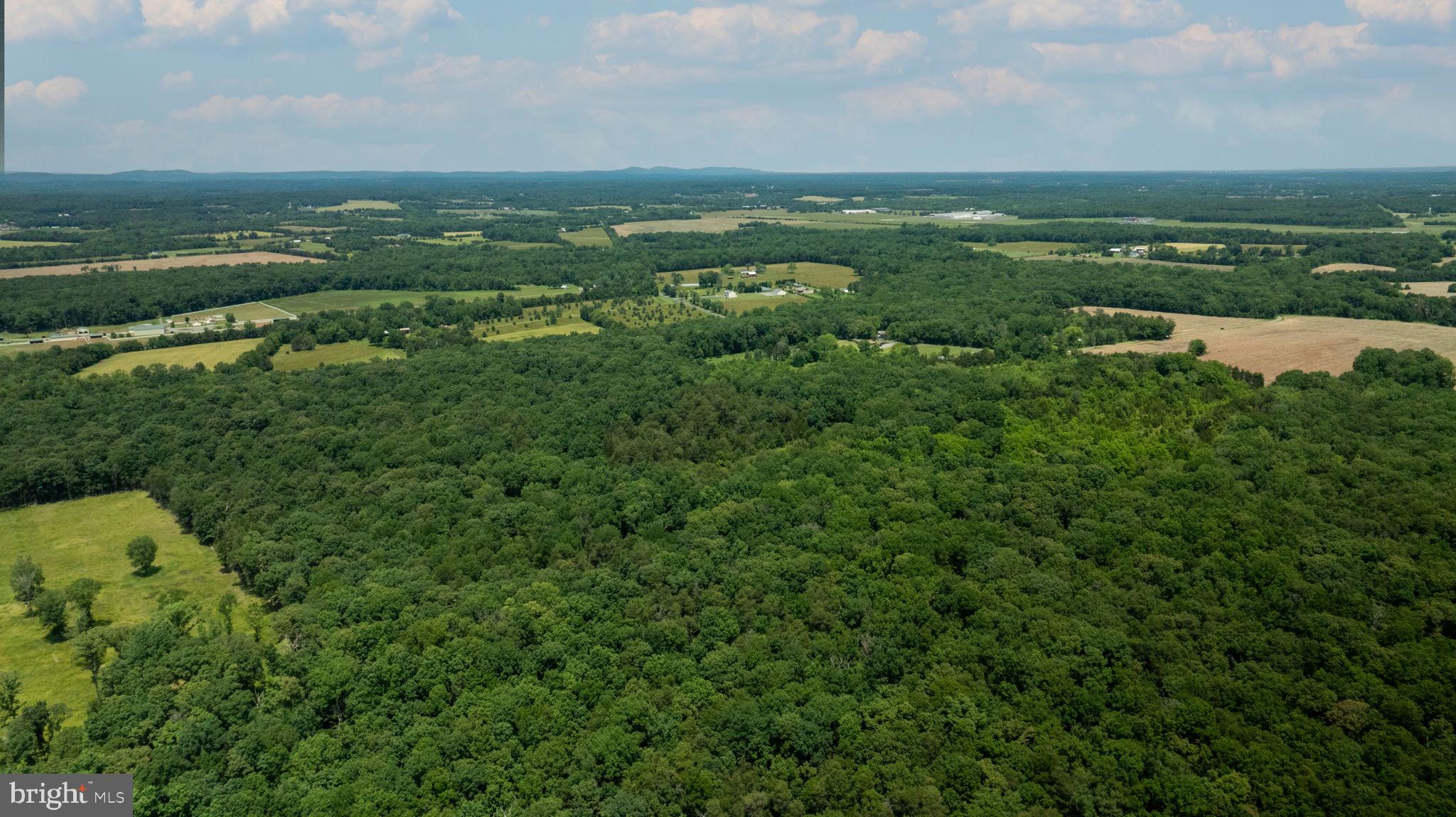 11326 Rogues Road Midland, VA 22728 - Photo 8 of 20 Gallery Image 8